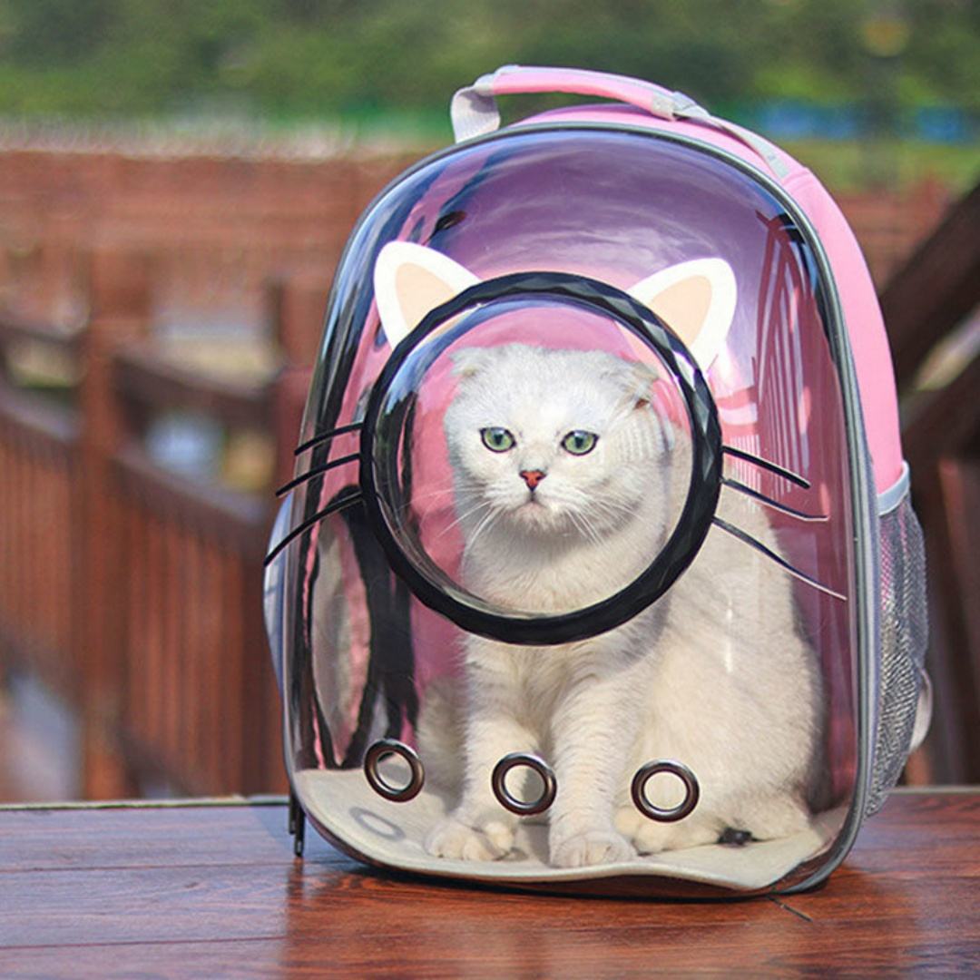 Unique Portable PU Zipper Cat & Puppy Pet Carrier Backpack with Space Capsule Bubble Design